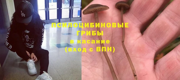 молекула духа Кодинск