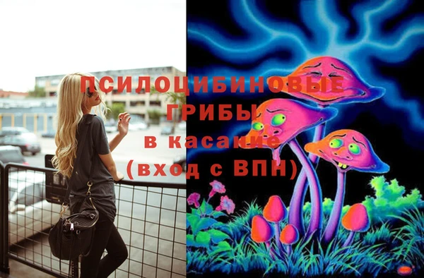 молекула духа Кодинск