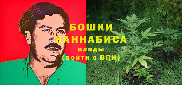 ГАЛЛЮЦИНОГЕННЫЕ ГРИБЫ Козельск