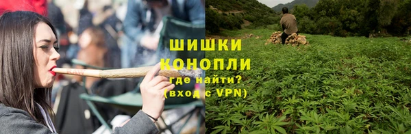 ГАЛЛЮЦИНОГЕННЫЕ ГРИБЫ Козельск