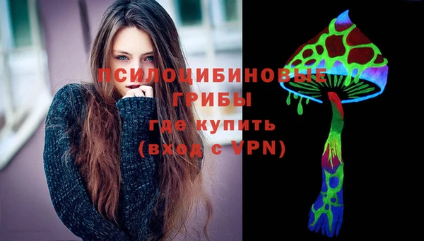 ГАЛЛЮЦИНОГЕННЫЕ ГРИБЫ Козельск