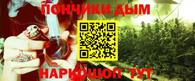 Альфа ПВП Владикавказ