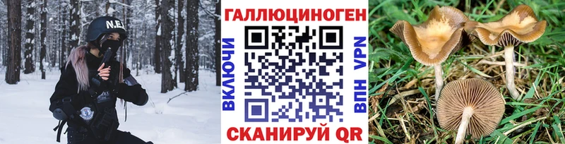 Купить закладки  Истра  Псилоцибиновые грибы MAGIC MUSHROOMS 