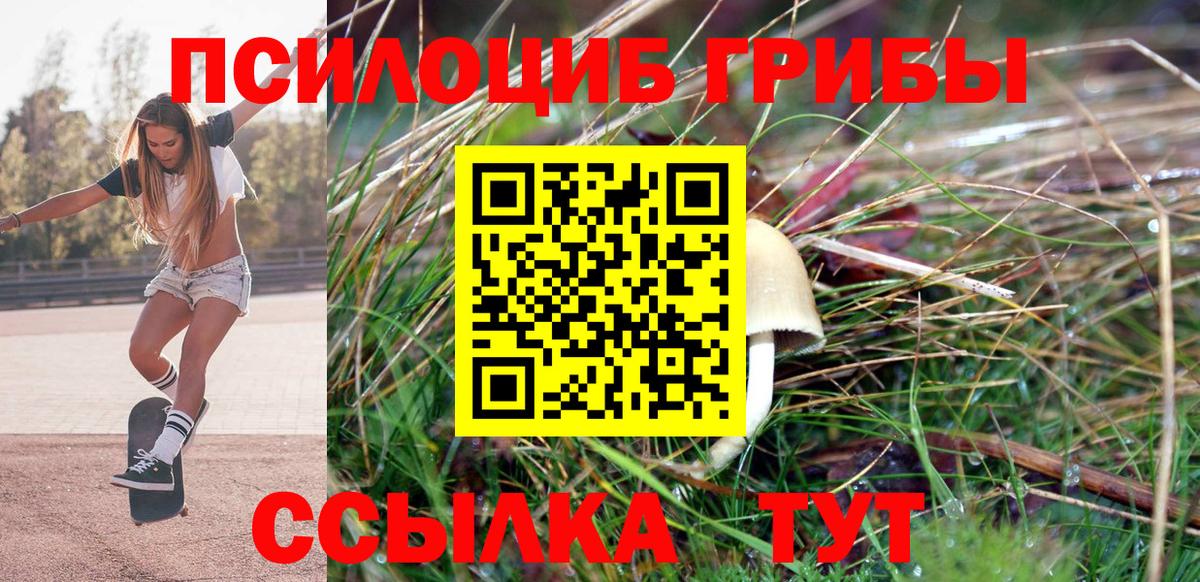 Галлюциногенные грибы мицелий Истра
