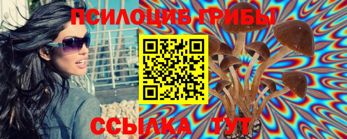 хочу наркоту  Псилоцибиновые грибы Psilocybe  Вход с VPN  Истра 